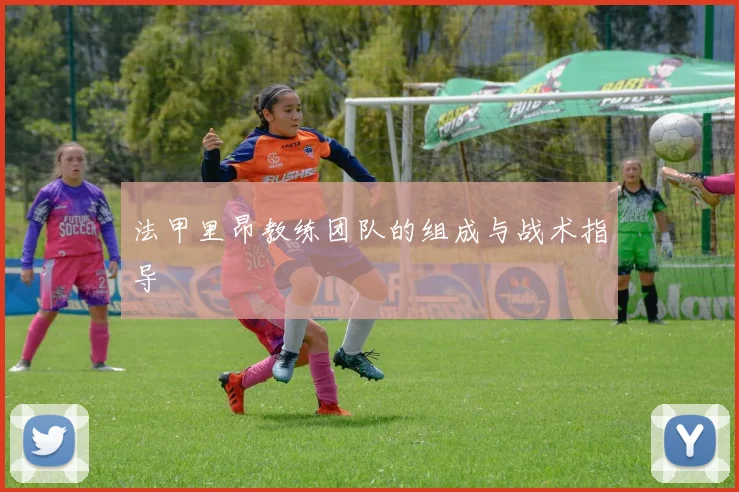 法甲里昂教练团队的组成与战术指导
