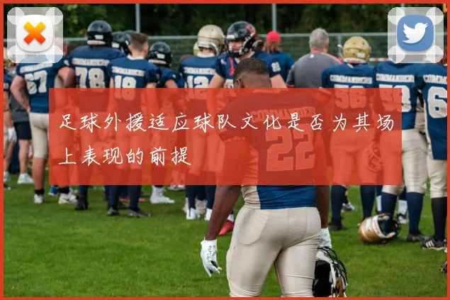 足球外援适应球队文化是否为其场上表现的前提