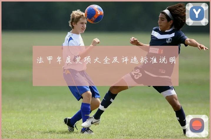 法甲年度奖项大全及评选标准说明