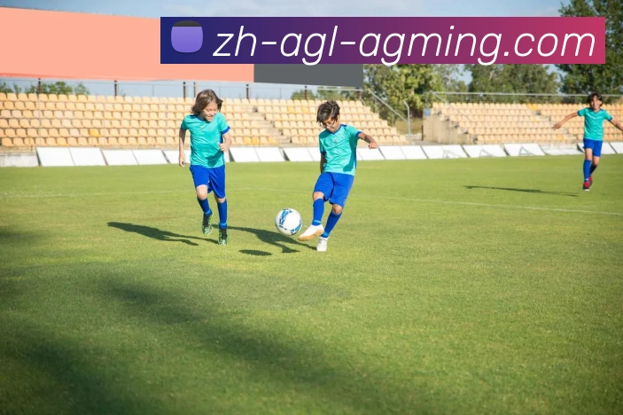 多媒体互动体验