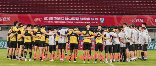 AG娱乐登录-2024赛季意甲一共多少支球队参赛？最新完整名单曝光